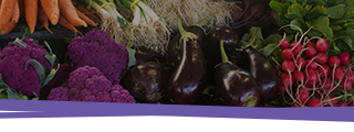 Healthy Recipes page banner