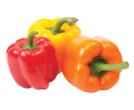 Red, yellow, and orange fresh peppers--a great way to eat healthy on a budget