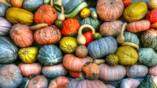 a pile of colorful gourds and pumpkins in a field