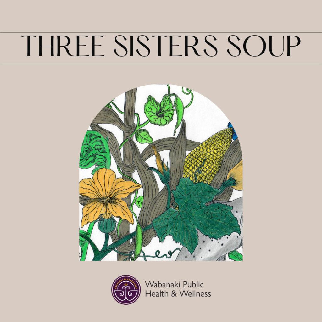 cover of three sisters soup from Wabanaki public health & wellness