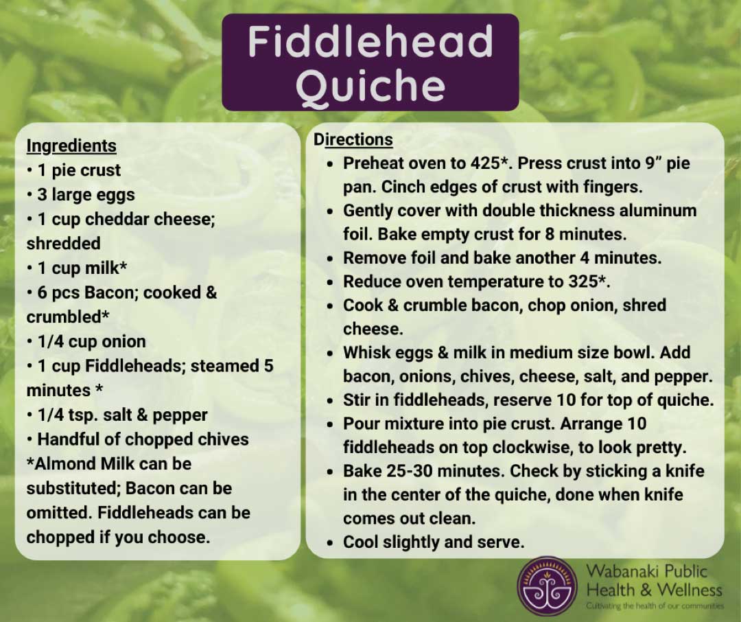 Fiddlehead Quiche